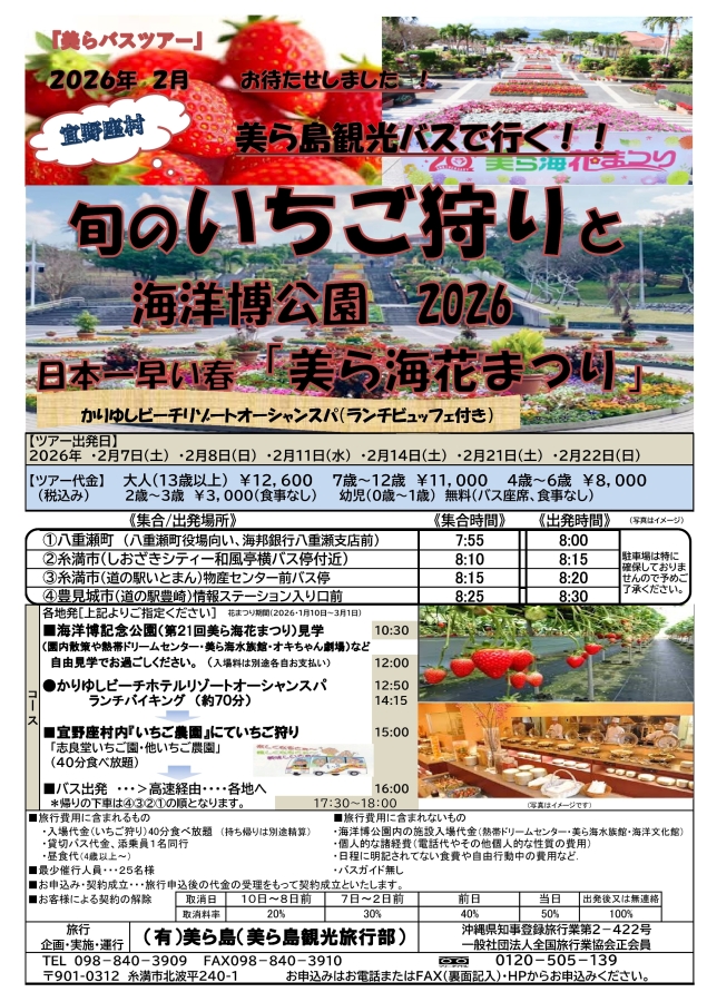 【2026年2月開催】旬のいちご狩りと美ら海花まつり！ランチビュッフェ付き「美らバスツアー」